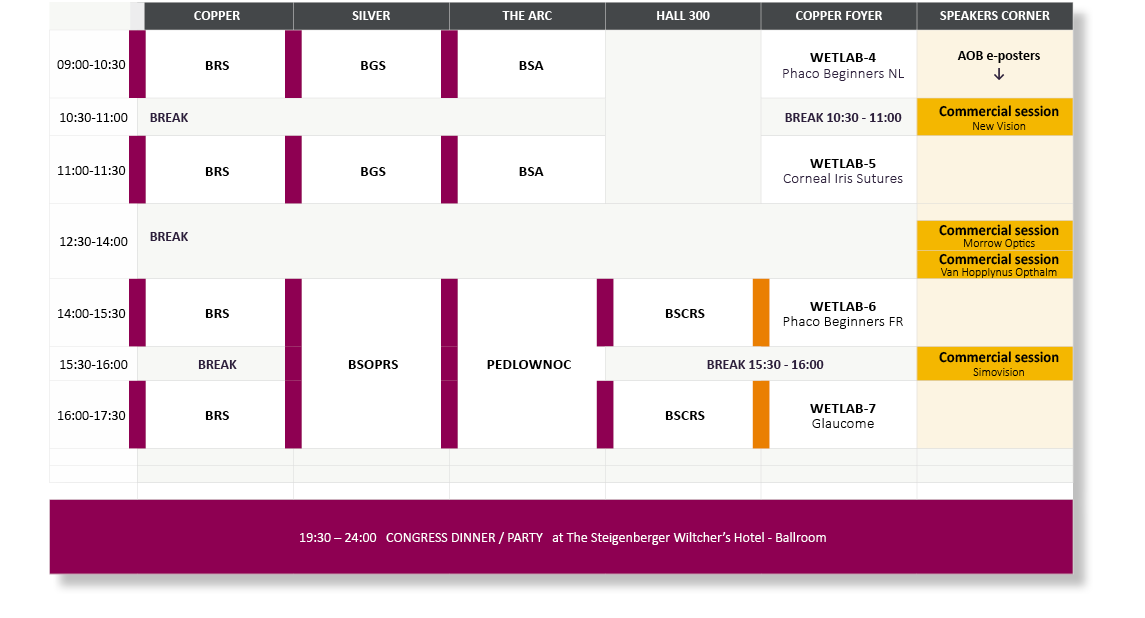 ,COPPER,SILVER,THE ARC,HALL 300,COPPER FOYER,SPEAKERS CORNER,09:00-10:30,BRS,BGS,BSA,,WETLAB-4 Phaco Beginners NL,AOB   