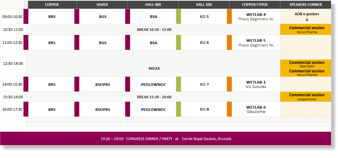 ,COPPER,SILVER,HALL 400,HALL 300,COPPER FOYER,SPEAKERS CORNER,09:00-10:30,BRS,BGS,BSA,ICC-5,WETLAB-4 Phaco Beginners    