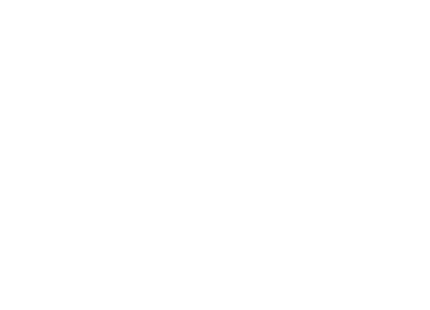 SATURDAY MARCH 29 2025