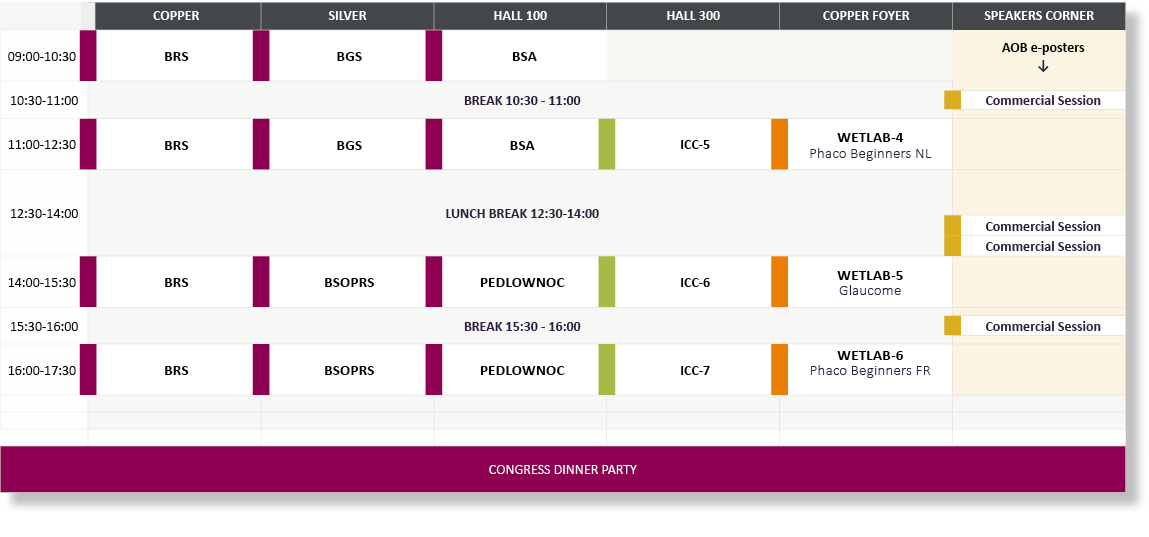 ,COPPER,SILVER,HALL 100,HALL 300,COPPER FOYER,SPEAKERS CORNER,09:00 10:30,BRS,BGS,BSA,,,AOB e posters ↓,10:30 11:00,B...