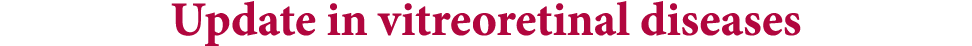 Update in vitreoretinal diseases